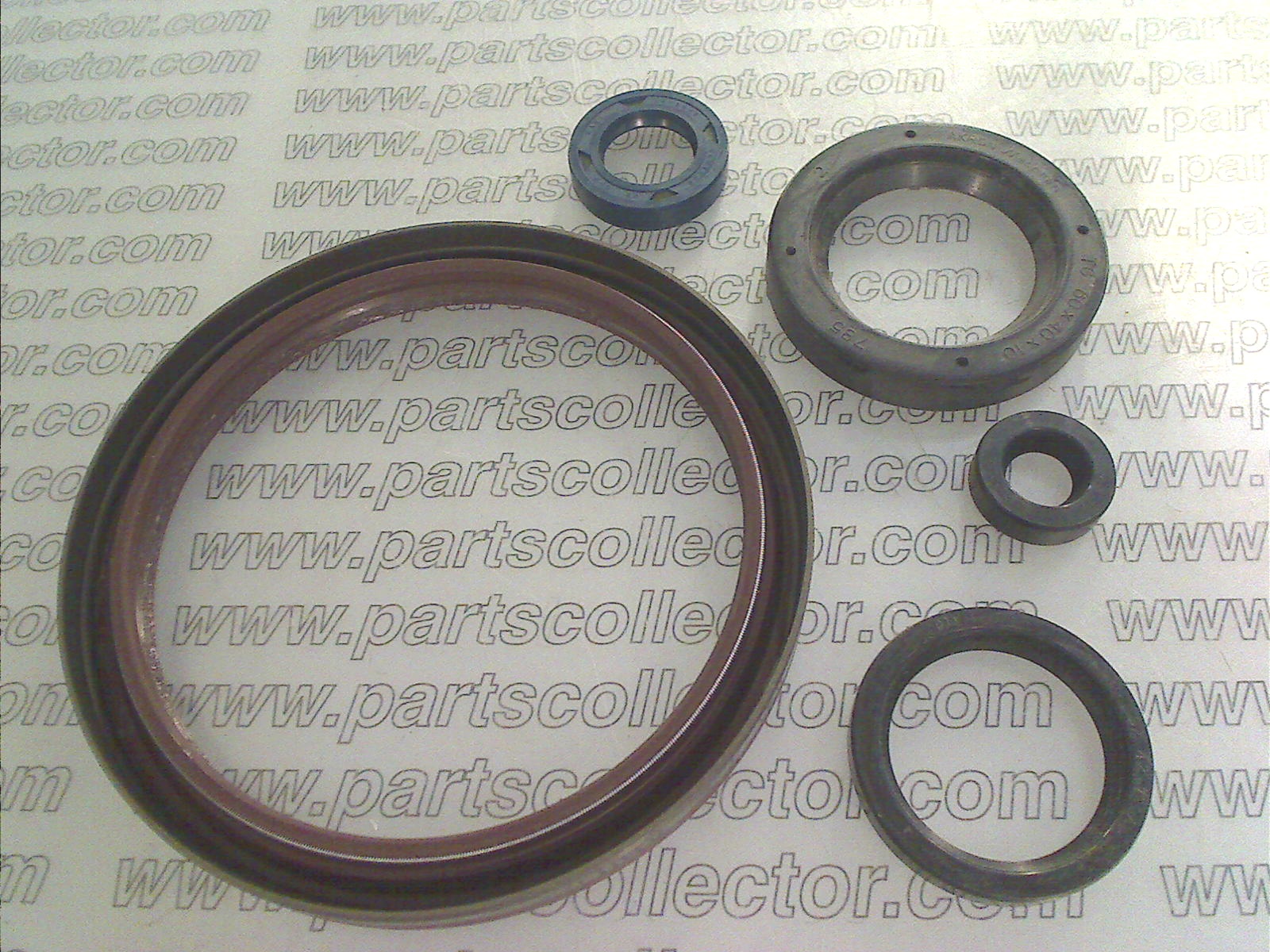 KIT PARAOLIO MOTORE